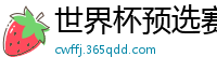 世界杯预选赛2024年赛程中国